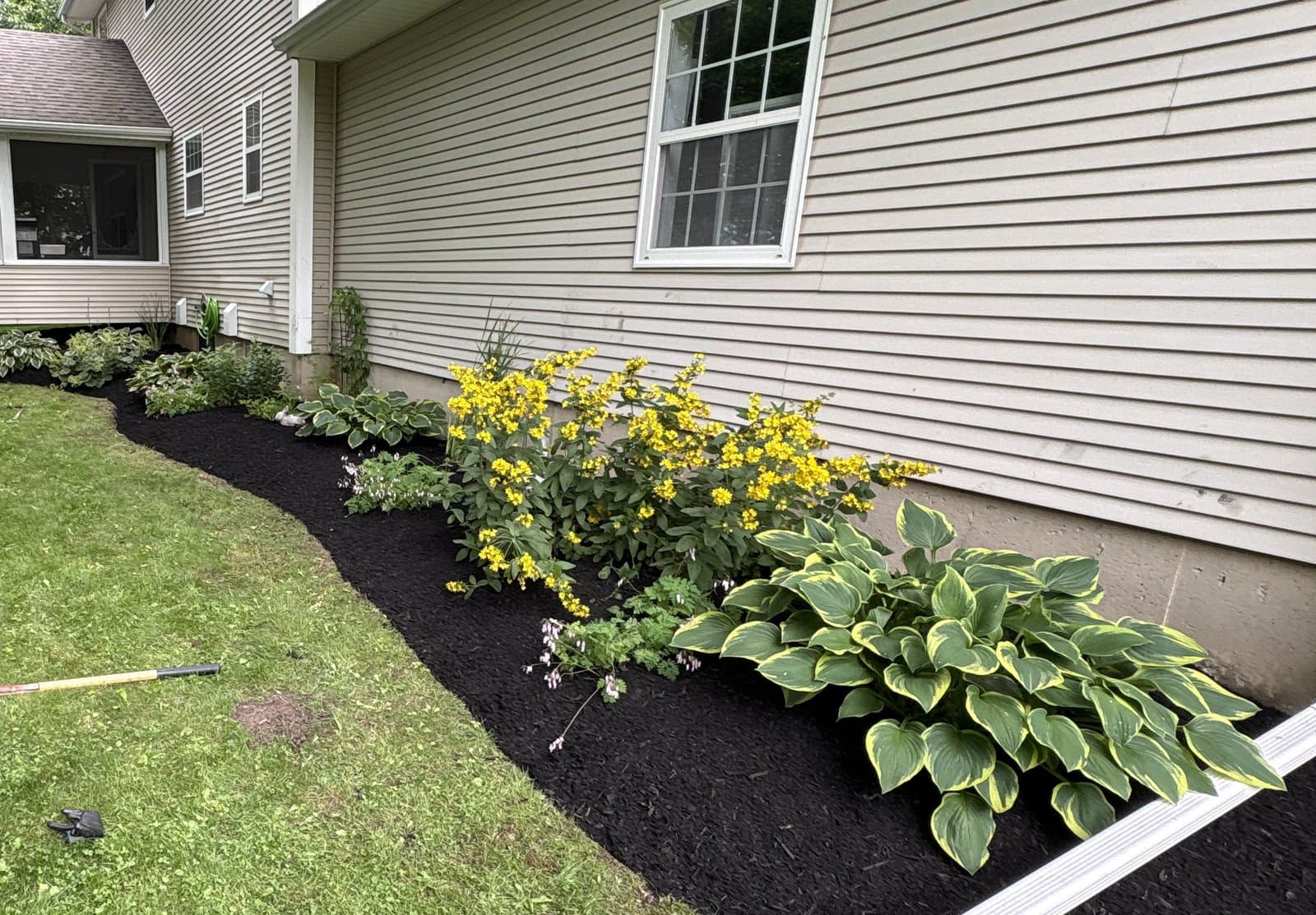 Curved garden bed with fresh dark mulch and mature plants